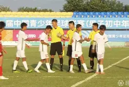 28圈-关于雪域鲸鲨队鏖战中原黑豹队，足球大师赛读秒绝平，转换速度占优。门前嗅觉决定胜负的信息